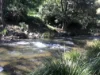 82 Tibbuc Road, Tibbuc VIA, Gloucester NSW 2422-Image