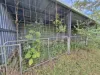 821 Jiggi Road, Jiggi, NSW 2480-Image