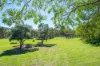 823 Woomargama Way, Woomargama, NSW 2644-Image