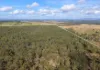 824 Ferry Road, Rosedale, Qld 4674-Image