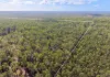 824 Ferry Road, Rosedale, Qld 4674-Image