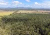 824 Ferry Road, Rosedale, Qld 4674-Image