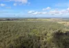 824 Ferry Road, Rosedale, Qld 4674-Image