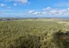 824 Ferry Road, Rosedale, Qld 4674-Image