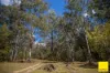 8284 Armidale Road, Dorrigo NSW 2453-Image