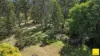 8284 Armidale Road, Dorrigo NSW 2453-Image