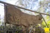 8284 Armidale Road, Dorrigo NSW 2453-Image