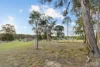 83 Ferguson Street, Abernethy, NSW 2325-Image