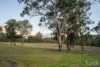83 Ferguson Street, Abernethy, NSW 2325-Image