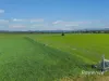 83 Knodlers Lane, Maison Dieu, Singleton NSW 2330-Image