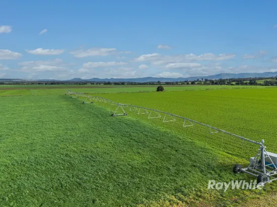 83 Knodlers Lane, Maison Dieu, Singleton NSW 2330-Image