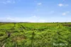 83 Knodlers Lane, Maison Dieu, Singleton NSW 2330-Image