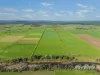 83 Knodlers Lane, Maison Dieu, Singleton NSW 2330-Image