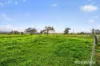 83 Knodlers Lane, Maison Dieu, Singleton NSW 2330-Image