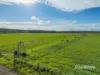83 Knodlers Lane, Maison Dieu, Singleton NSW 2330-Image