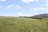 83 Turkey Farm Road, Glengarry, Tas 7275-Image