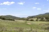 83 Turkey Farm Road, Glengarry, Tas 7275-Image