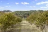 83 Turkey Farm Road, Glengarry, Tas 7275-Image