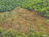 83 Whiteley Road, Coorooman, Qld 4702-Image
