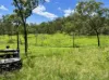 83 Whiteley Road, Coorooman, Qld 4702-Image