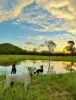 83 Whiteley Road, Coorooman, Qld 4702-Image