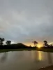 83 Whiteley Road, Coorooman, Qld 4702-Image
