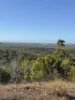83 Whiteley Road, Coorooman, Qld 4702-Image