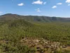 834 Eureka Road, Golden Fleece, Qld 4621-Image