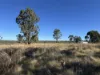 84, Hilltop Drive, Ellesmere, Qld 4610-Image