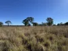 84, Hilltop Drive, Ellesmere, Qld 4610-Image