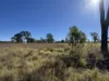 84, Hilltop Drive, Ellesmere, Qld 4610-Image