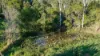 84 Hunchy Road, Palmwoods, Qld 4555-Image