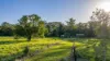 84 Hunchy Road, Palmwoods, Qld 4555-Image