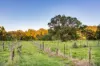 84 Hunchy Road, Palmwoods, Qld 4555-Image