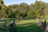 84 Hunchy Road, Palmwoods, Qld 4555-Image