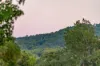 84 Hunchy Road, Palmwoods, Qld 4555-Image