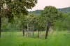 84 Hunchy Road, Palmwoods, Qld 4555-Image