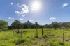 84 Hunchy Road, Palmwoods, Qld 4555-Image