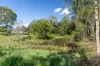 84 Hunchy Road, Palmwoods, Qld 4555-Image