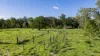 84 Hunchy Road, Palmwoods, Qld 4555-Image