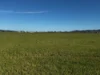 84 West Jindalee Road, Cootamundra, NSW 2590-Image