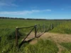 84 West Jindalee Road, Cootamundra, NSW 2590-Image