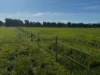 84 West Jindalee Road, Cootamundra, NSW 2590-Image