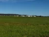84 West Jindalee Road, Cootamundra, NSW 2590-Image