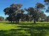 84 West Jindalee Road, Cootamundra, NSW 2590-Image