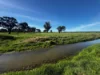 84 West Jindalee Road, Cootamundra, NSW 2590-Image