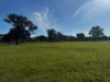 84 West Jindalee Road, Cootamundra, NSW 2590-Image
