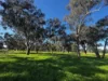 84 West Jindalee Road, Cootamundra, NSW 2590-Image