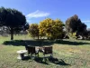 84 Whyte Road, Emu, Vic 3475-Image