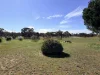 84 Whyte Road, Emu, Vic 3475-Image